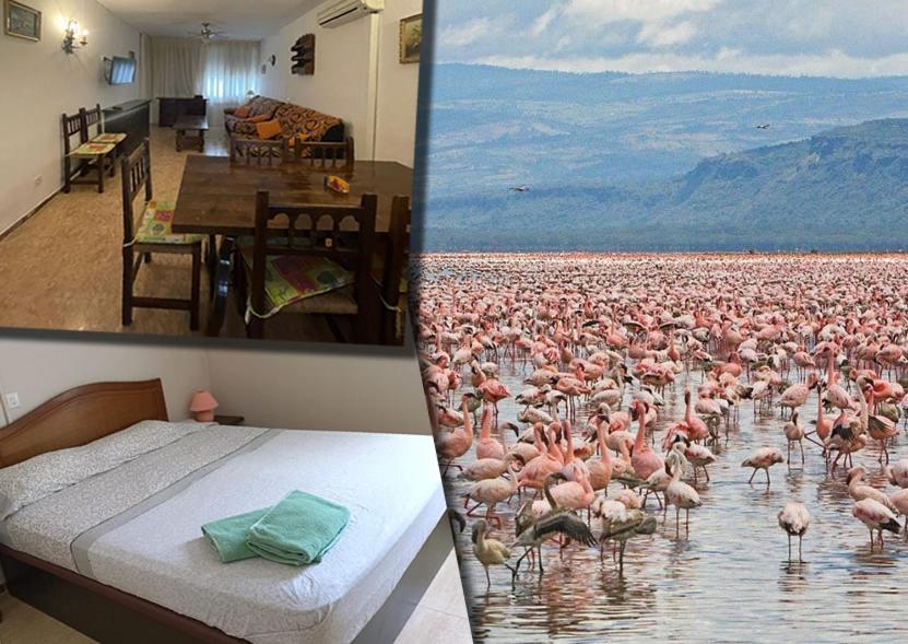 Eucaliptus, Bonito Piso A Pocos Pasos De La Playa Delta De L'Ebre Apartment L'Eucaliptus ภายนอก รูปภาพ